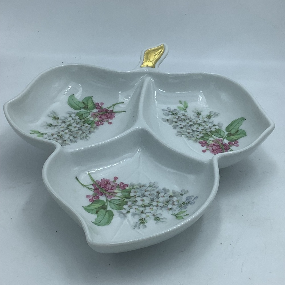 Vintage Old Nuremberg Bavaria Germany Three Section Dish